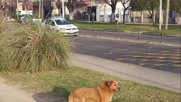 Risky public blowjob and fuck on the street next to the train station and in front of the police - @lynnscreamreal Public Adventures part 1